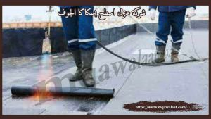 شركة عزل اسطح بسكاكا الجوف